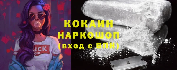 мяу мяу мука Баксан