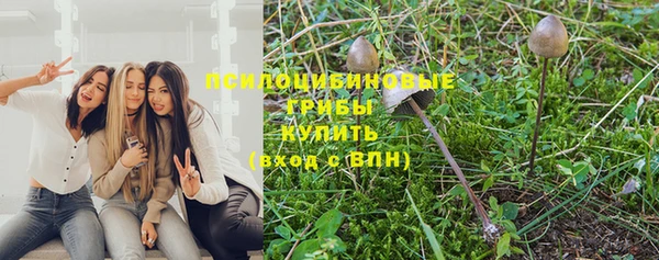 индика Аркадак
