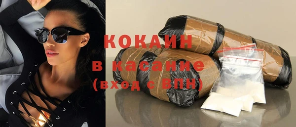 индика Аркадак