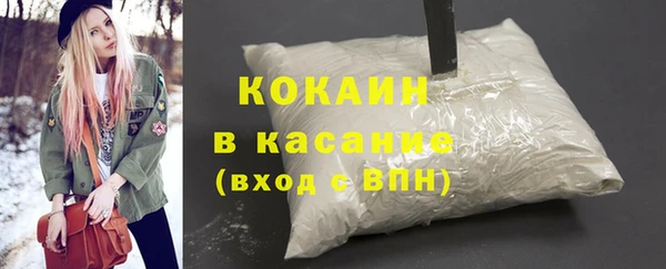 индика Аркадак