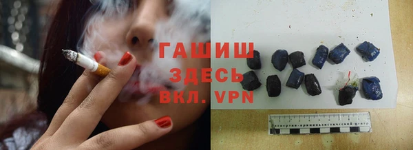 индика Аркадак