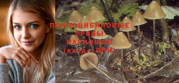мяу мяу мука Баксан