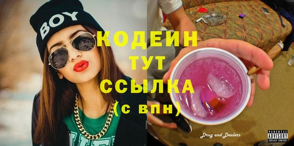 индика Аркадак