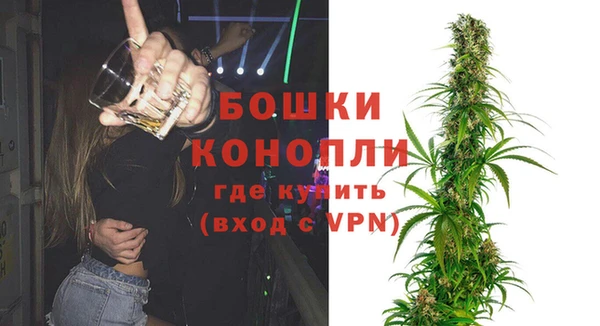 индика Аркадак