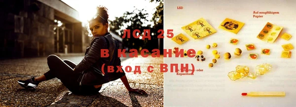 индика Аркадак