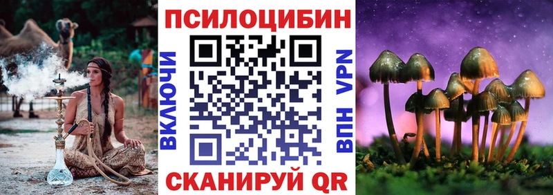Галлюциногенные грибы Psilocybe  MEGA ССЫЛКА  Сольвычегодск 